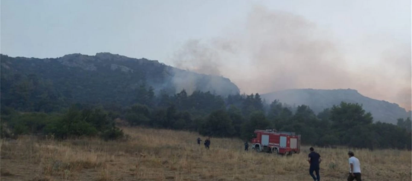 Πυρκαγιά στην Τανάγρα: Ολονύχτια μάχη με τις φλόγες (βίντεο-φωτο)